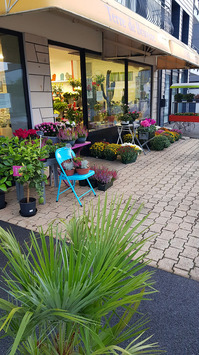 Vente - Fleuriste - Crozon (29160)