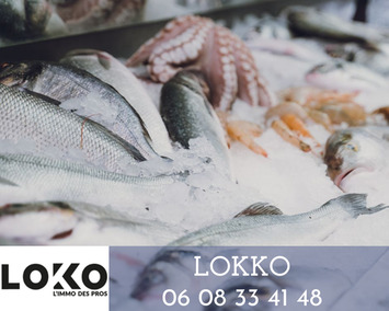 Vente - Poissonnerie - Pau (64000)