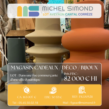 Vente - Ameublement - Cadeaux souvenirs - Décoration - Lot (46)