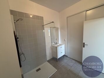 Location Entrepôt / Local d'activités - Blois (41000)-photo-4