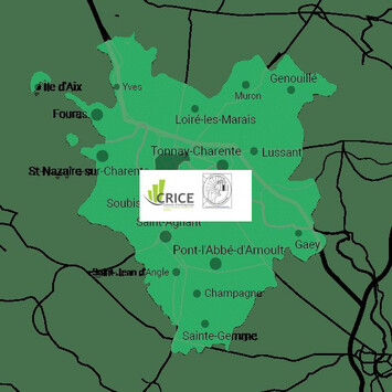 Vente - Bar - Hôtel - Restaurant - Charente-Maritime (17)-photo-4