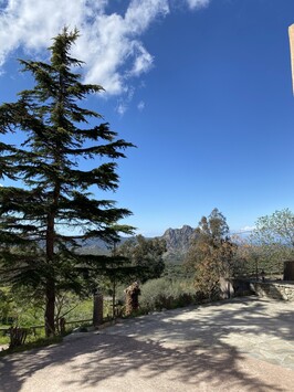 Vente - Bar - Hôtel - Restaurant - Santo-Pietro-di-Tenda (20246)-photo-4