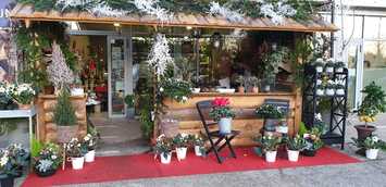 Vente - Décoration - Fleuriste - Jardinerie - Saint-Laurent-des-Arbres (30126)-photo-4