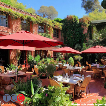 Vente - Restaurant - Alimentation - Cave à vins - Epicerie - Vins et spiritueux - Pibrac (31820)-photo-1