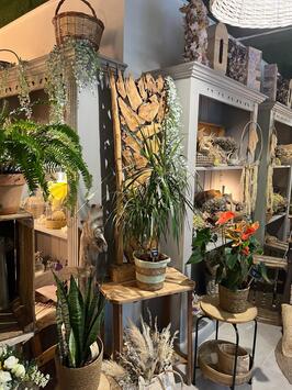 Vente - Cadeaux souvenirs - Fleuriste - Sete (34200)