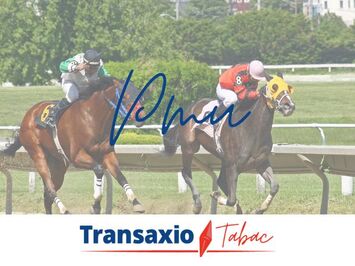 Vente - Tabac - FDJ - Loto - PMU - Presse - Montbeliard (25200)-photo-4