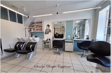 Vente - Salon de coiffure - Saint-Pierre-des-Landes (53500)