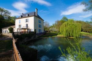 Vente - Hôtel - Gîte - Chocolaterie Chocolatier - Vienne (86)-photo-2