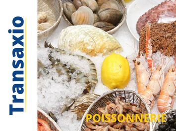 Vente - Bar - Restaurant - Poissonnerie - Le Touquet-Paris-Plage (62520)