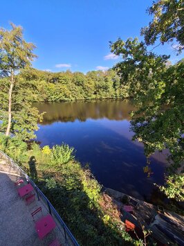 Vente - Hôtel - Restaurant - Neufchâtel-en-Saosnois (72600)-photo-1