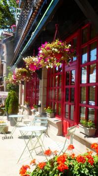 Vente - Hôtel - Restaurant - Gîte - Haute-Loire (43)-photo-2