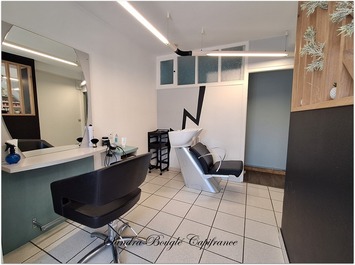 Vente - Salon de coiffure - Saint-Pierre-des-Landes (53500)-photo-3