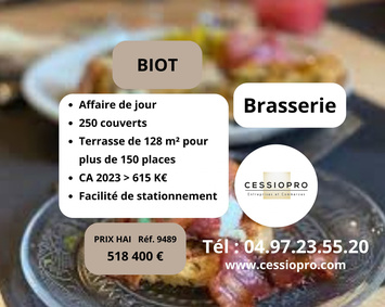 Vente - Brasserie - Pizzeria - Licence III - Biot (06410)-photo-2
