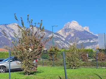 Vente - Restaurant - Pizzeria - Isère (38)-photo-3