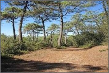 Vente - Bar - Brasserie - Les Sables-d'Olonne (85100)-photo-2