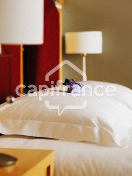 Vente - Bar - Restaurant - Challans (85300)-photo-2