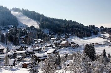 Vente - Bar - Hôtel - Restaurant - Flaine (74300)-photo-2