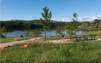 Vente - Bar - Restaurant - Restaurant à thème - Restaurant gastronomique - Crêperie - Licence IV - Loire (42)-photo-4