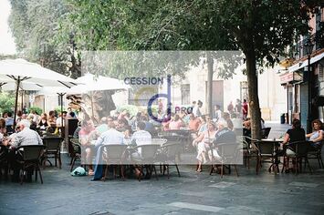 Vente - Bar - Brasserie - Restaurant - Café - Beaucaire (30300)-photo-3