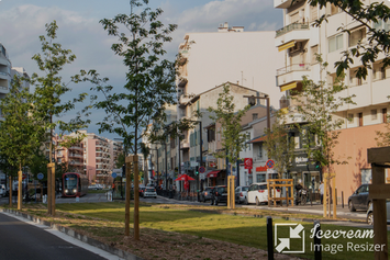 Vente - Brasserie - Licence IV - Nice (06200)-photo-3