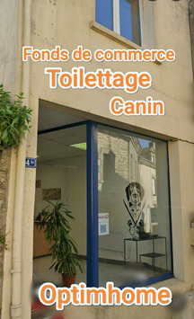 Vente - Salon de toilettage - Questembert (56230)-photo-4