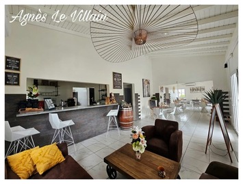 Vente - Restaurant - Guadeloupe (971)-photo-2