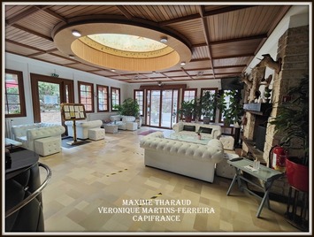 Vente - Bar - Hôtel - Restaurant - Cheverny (41700)-photo-2