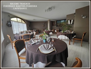 Vente - Bar - Hôtel - Restaurant - Cheverny (41700)-photo-3