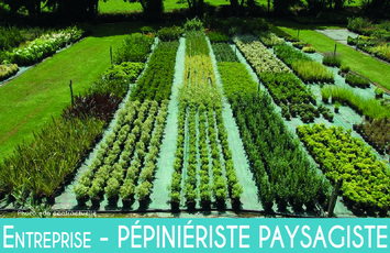 Vente - Jardinerie - La Roche-sur-Yon (85000)-photo-2