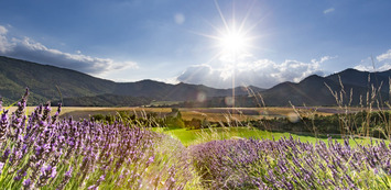 Vente - Bar - Restaurant - Cave à vins - Vins et spiritueux - Drôme (26)-photo-3