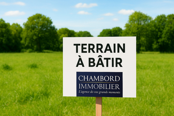 Vente Terrain ZI / ZA - Blois (41000)