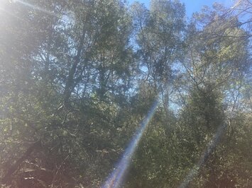 Vente Terrain ZI / ZA - Lorgues (83510)-photo-2