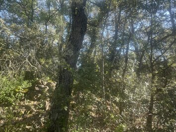 Vente Terrain ZI / ZA - Lorgues (83510)