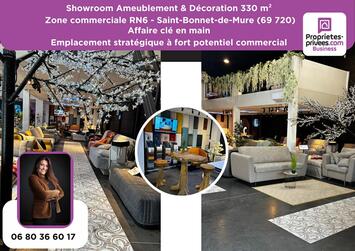 Vente - Ameublement - Décoration - Rhône (69)-photo-2