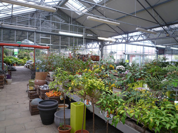 Vente Terrain ZI / ZA - Blesmes (02400)-photo-4