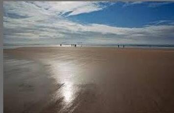 Vente - Bar - Café - Les Sables-d'Olonne (85100)-photo-2