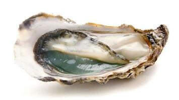 Vente - Poissonnerie - Bouches-du-Rhône (13)