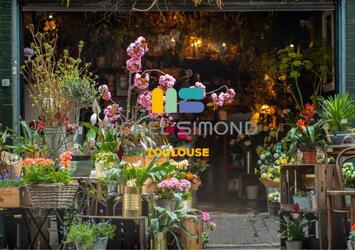 Vente - Fleuriste - Haute-Garonne (31)