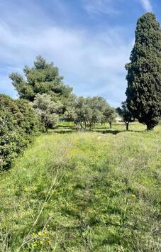 Vente de murs de boutique - Vaucluse (84)-photo-4