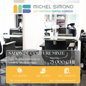 Vente - Salon de coiffure - Lot (46)