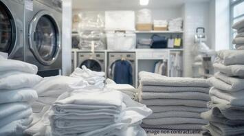 Vente - Blanchisserie - Pressing - Haute-Savoie (74)