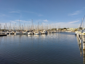 Vente - Restaurant - Pizzeria - Le Grau-du-Roi (30240)-photo-2