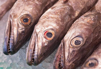 Vente - Poissonnerie - Ain (01)