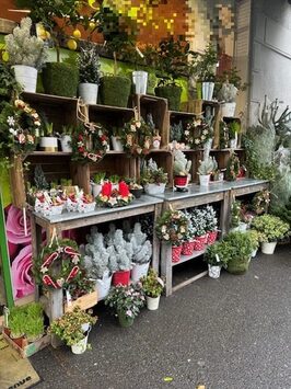 Vente - Fleuriste - Val-de-Marne (94)-photo-2