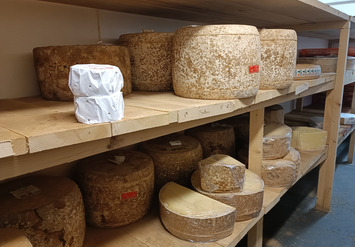 Vente - Fromagerie - Superette - Cantal (15)