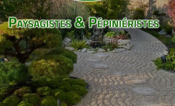 Vente - Alimentation - Pas-de-Calais (62)