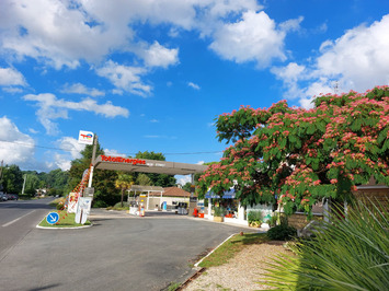 Vente - Garage - Eymet (24500)