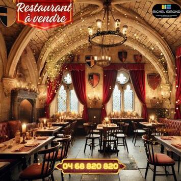 Vente - Restaurant - Pyrénées-Orientales (66)-photo-1