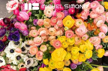 Vente - Fleuriste - Ille-et-Vilaine (35)