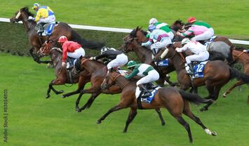 Vente - Bar - FDJ - PMU - Eaubonne (95600)